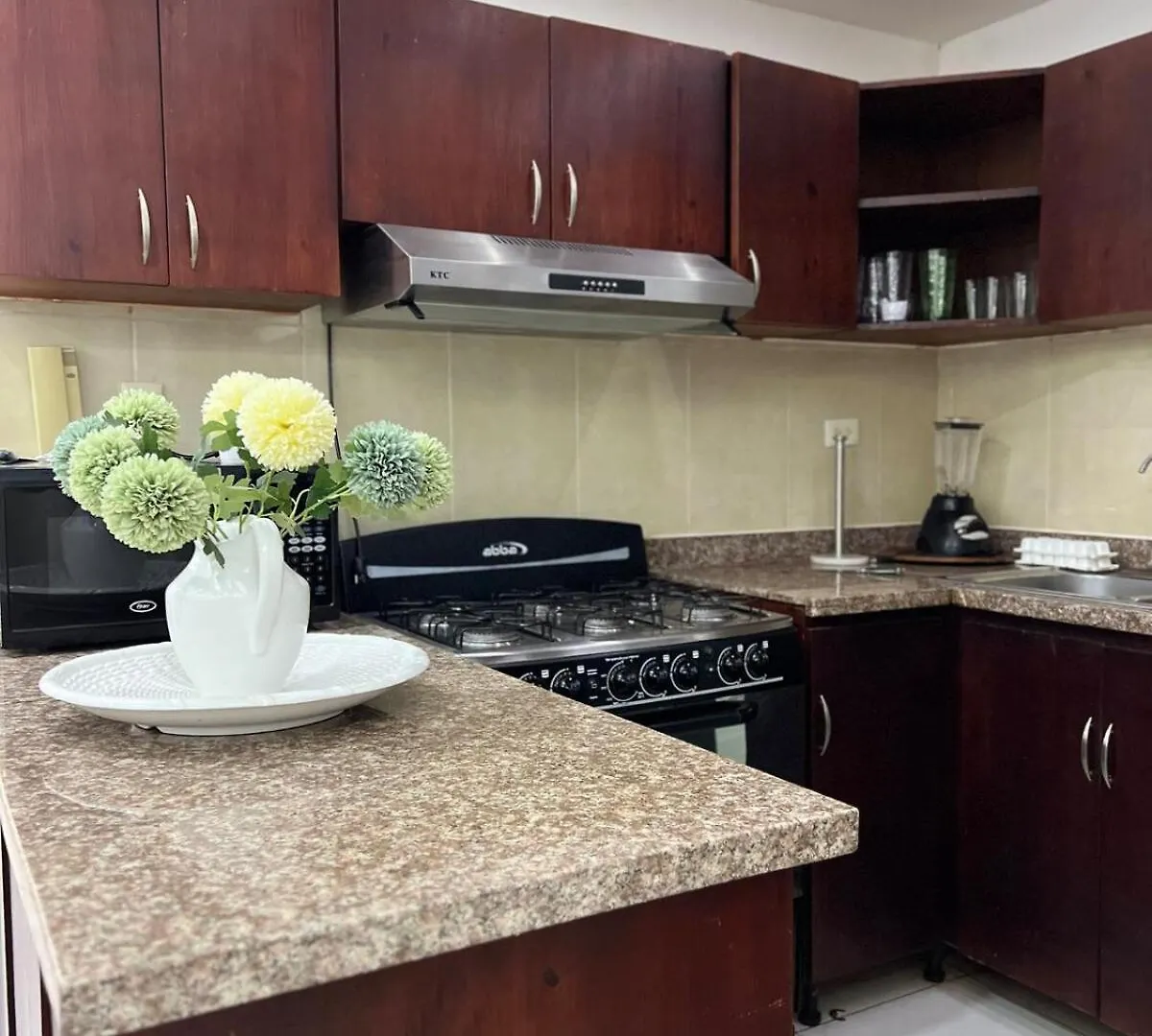 Apartamento O3 Palma Real Santiago De Los Caballeros 0*,